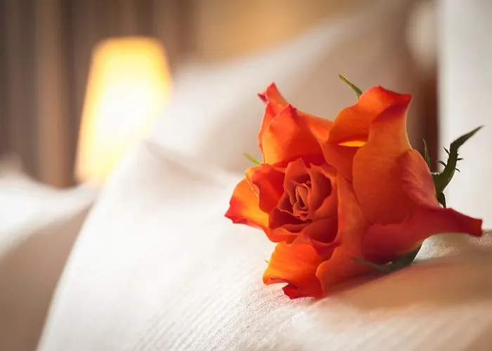 Dorint 4* Δρέσδη